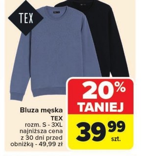 Bluza męska TEX niska cena