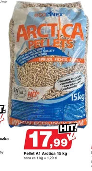 Pellet Antica