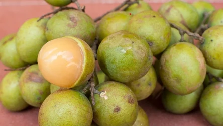 Momoncillo to egzotyczne owoce o słodko-kwaśnym smaku 