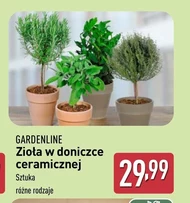 Трави в горщику Gardenline