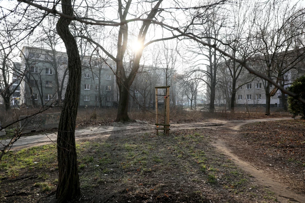 Wartości temperatury maksymalnej w całym kraju będą końcem stycznia wyższe niż przeciętnie