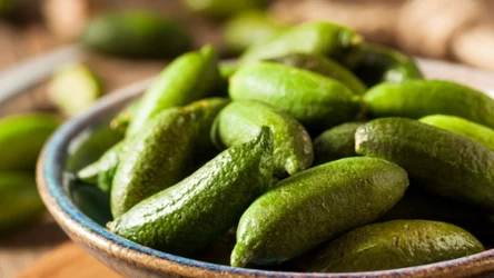 Australijskie limonki mają ciekawą strukturę i szereg właściwości wspierających zdrowie 