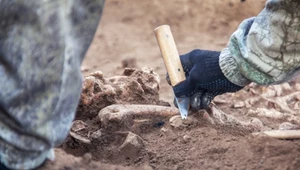 Odkrycie tajemniczego pochówku. Ujawnia brutalną historię