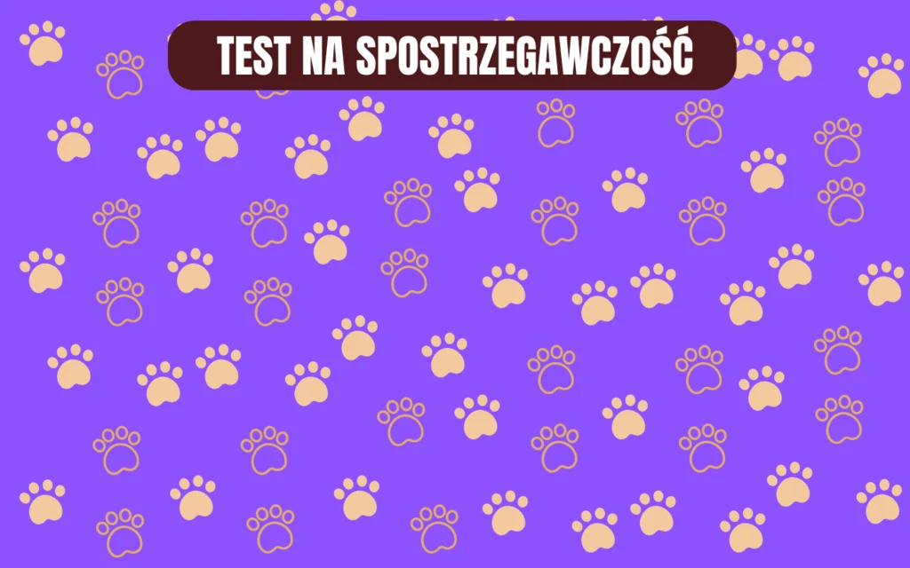 Jak szybko znajdziesz różnicę? Prosty test na spostrzegawczość