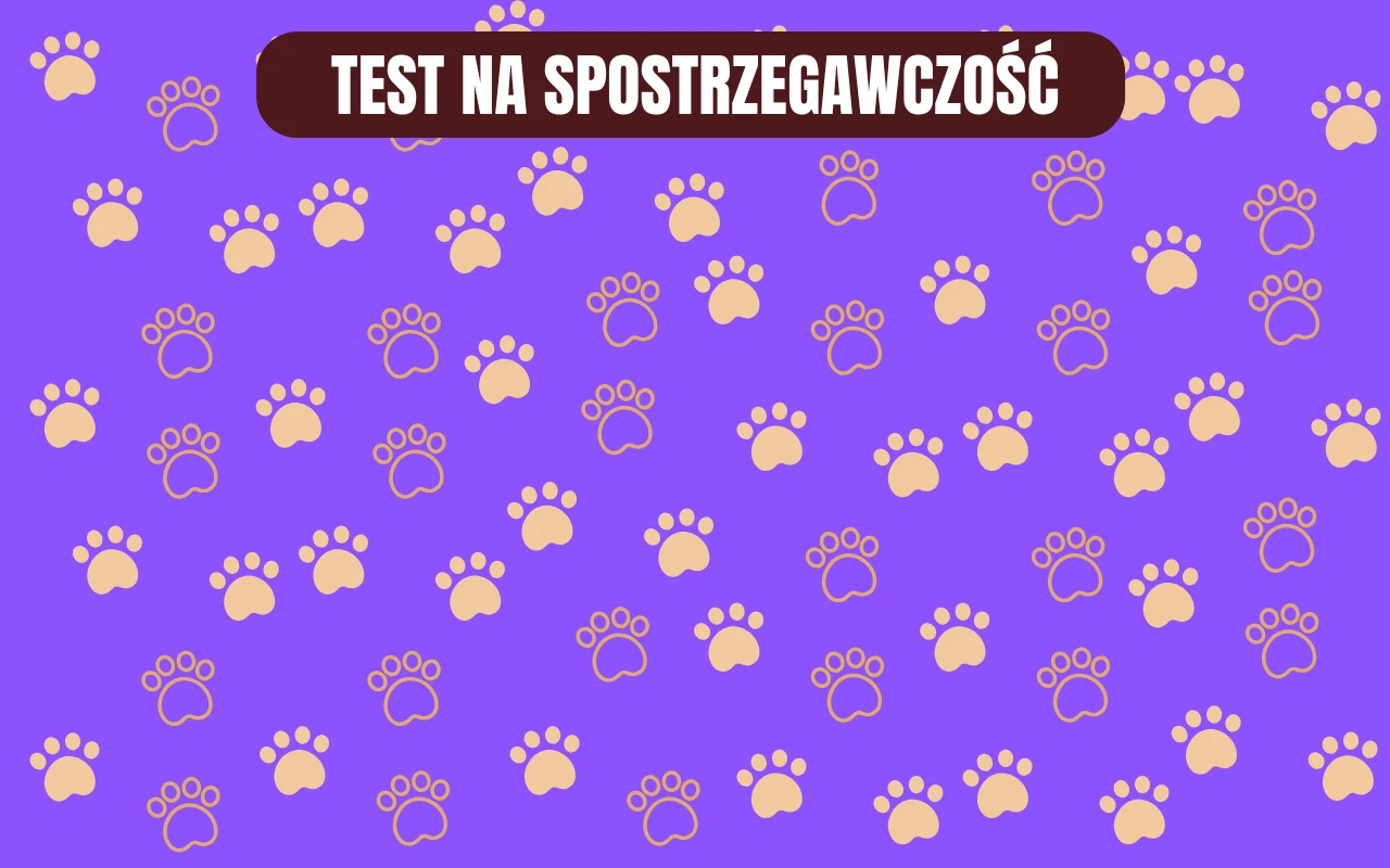 Jak szybko znajdziesz różnicę? Prosty test na spostrzegawczość Jak szybko znajdziesz różnicę? Prosty test na spostrzegawczość