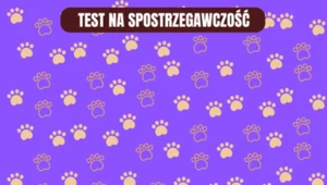 Test dla spostrzegawczych: Czy uda ci się znaleźć różnicę na obrazku? Masz 10 sekund