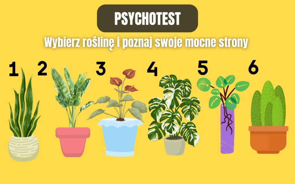 Psychotest: Przekonaj się, jakie są twoje zalety