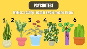 Co jest twoją mocną stroną? Prosty test zdradzi więcej, niż myślisz 