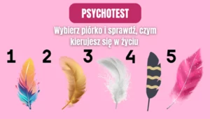 Test na sposób życia. Czym najczęściej się kierujesz?