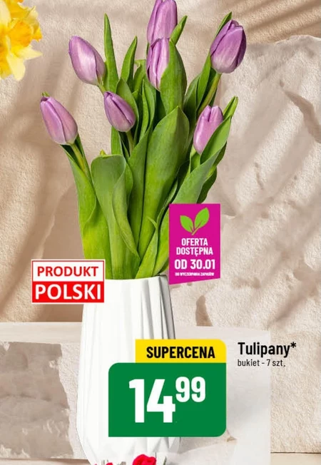 Букет тюльпанів Tulipany