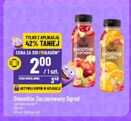 Smoothie Zaczarowany Ogród