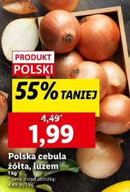 Cebula Polski