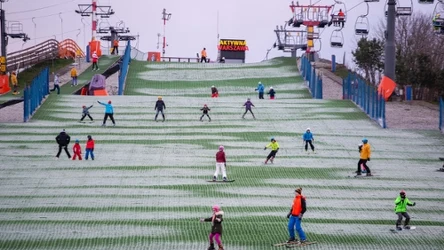 Gdzie na narty, jak nie ma śniegu? Tutaj poszusujesz przez cały rok.