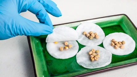 Do sprawdzenia, czy nasiona są przeterminowane, możesz wykorzystać zwykłe płatki kosmetyczne