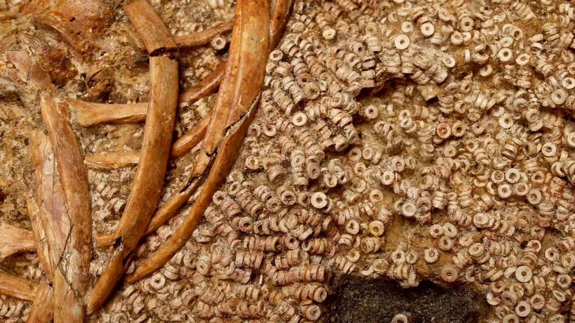 To największy grobowy zbiór koralików na świecie. Kolekcja 270 tys. licząca 5 tys. lat To największy grobowy zbiór koralików na świecie. Kolekcja 270 tys. licząca 5 tys. lat