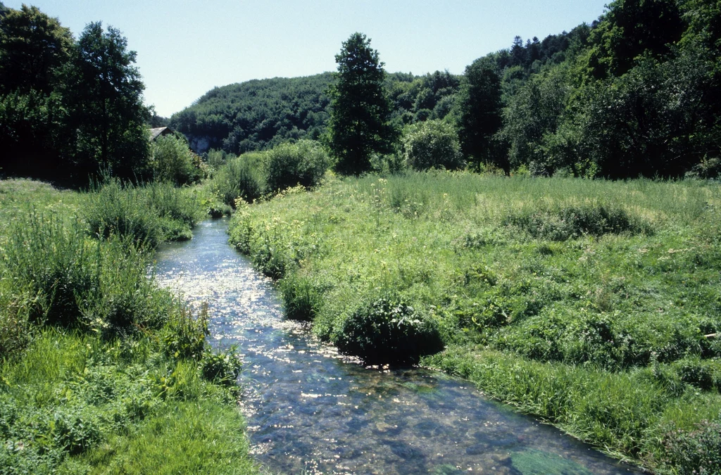 Rzeka Prądnik