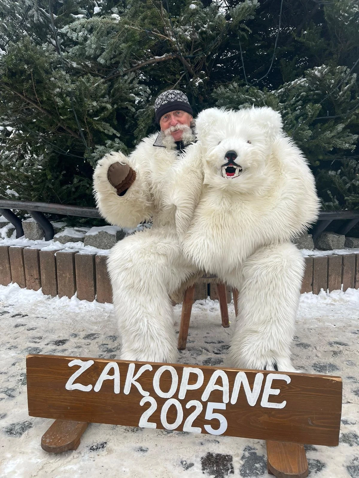 Zakopiański miś