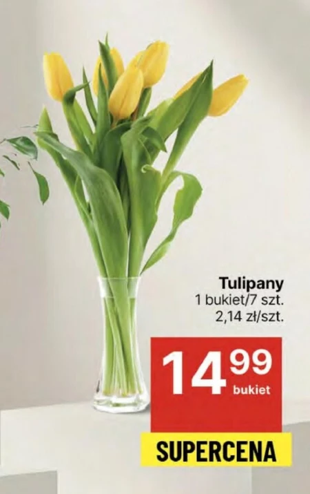 Bukiet tulipanów Tulipany