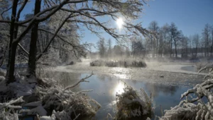 Podlasie zimą? Dla nas pasuje. O trzech puszczach, dwóch nartach i jednej magii [halo tu ferie #5]