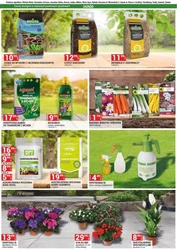 Merkury Market - nowa oferta handlowa