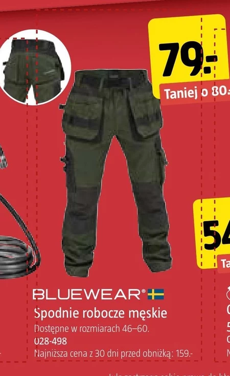 Чоловічі робочі штани Bluewear