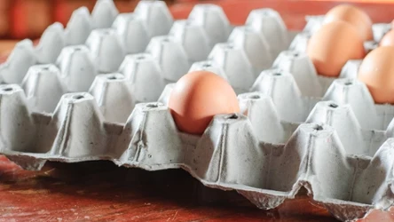 Gdzie należy wyrzucać wytłaczanki po jajkach?