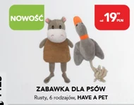 Zabawka dla psa Have a Pet