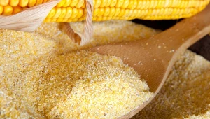 Ma tak dużo wapnia jak mleko, pokłady magnezu i potasu. Ta kasza wzmacnia serce i nie uczula 