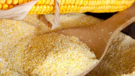 Ta mieszanka składników odżywczych powinna znaleźć stałe miejsce w każdej kuchni