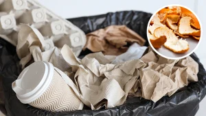 Czujesz brzydki zapach z kosza na śmieci? Zrób to, a zniknie na zawsze