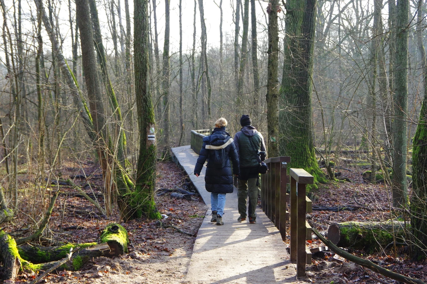 Spokojne miejsce na wycieczkę niedaleko Warszawy? Kampinoski Park Narodowy może być doskonałym pomysłem. Spokojne miejsce na wycieczkę niedaleko Warszawy? Kampinoski Park Narodowy może być doskonałym pomysłem.