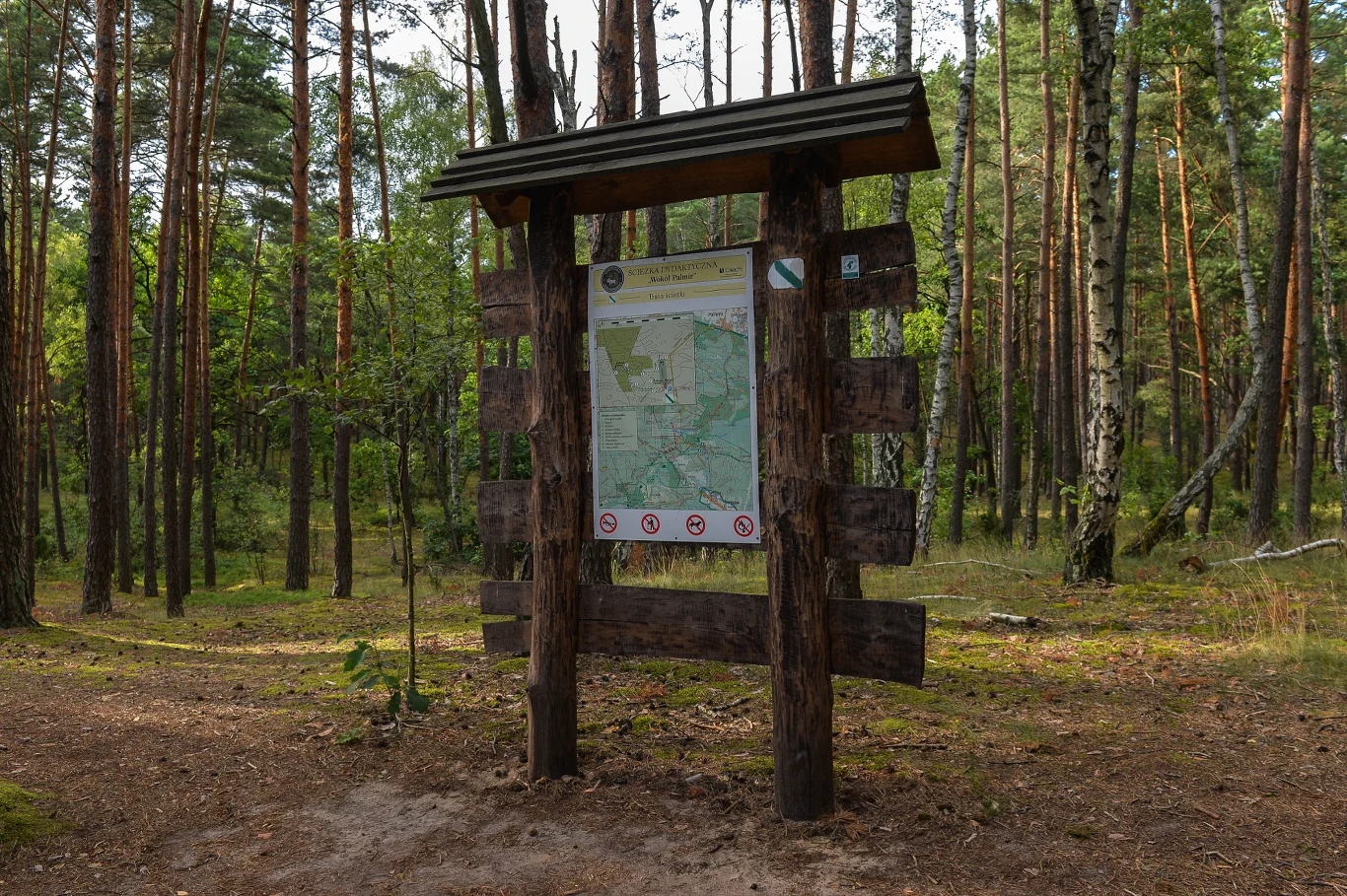W Kampinoskim Parku Narodowym są wytyczone liczne ścieżki edukacyjne, które są świetnym pomysłem na wycieczkę poza miasto. W Kampinoskim Parku Narodowym są wytyczone liczne ścieżki edukacyjne, które są świetnym pomysłem na wycieczkę poza miasto.