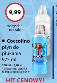 Płyn do płukania Coccolino