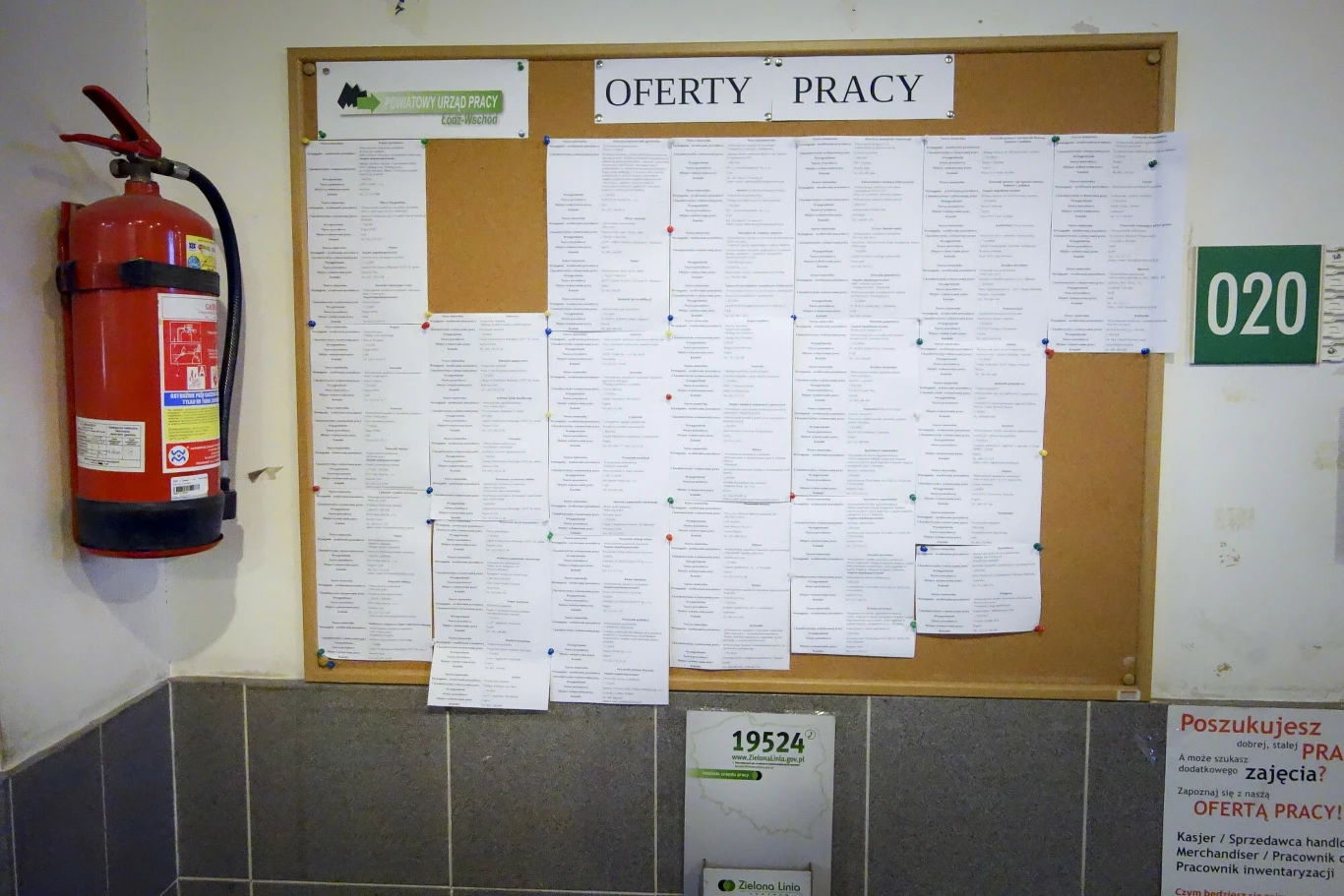 Polskie firmy chcą zatrudniać pracowników z Afryki. Zdjęcie ilustracyjne. Polskie firmy chcą zatrudniać pracowników z Afryki. Zdjęcie ilustracyjne.