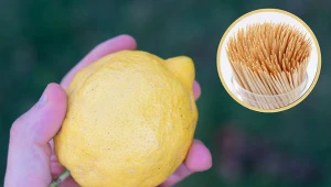 Tak wyciśniesz sok, bez przekrawania cytryny. Dłużej będzie świeża