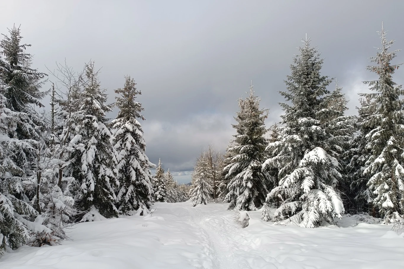 Beskidy zachwycają w zimowej odsłonie. Ciekawą propozycją wycieczki jest między innymi szczyt Szyndzielnia. 