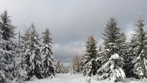Na spacer, sanki i na biegówki. W to miejsce w Beskidach warto się wybrać zimą