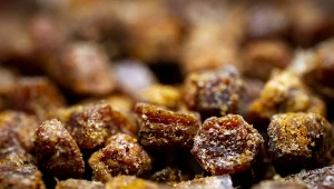 Cenniejsza od pszczelego pyłku. Regeneruje, przyspiesza metabolizm, poprawia pamięć