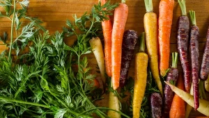 Możesz mieć kolorowe marchewki. Sprawdź, kiedy je wysiać