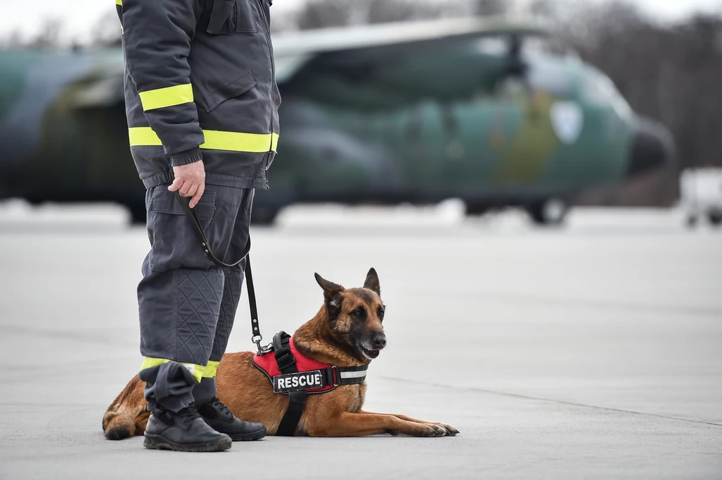 Psi towarzysz, ratownik i pomocnik ludzi z niepełnosprawnościami Psi towarzysz, ratownik i pomocnik ludzi z niepełnosprawnościami