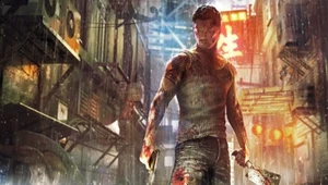 Sleeping Dogs