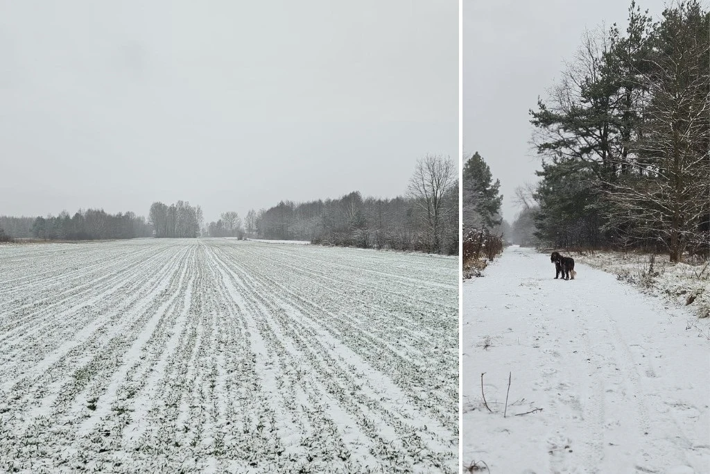 We wtorek rano miejscami pojawiła się cienka warstwa śniegu. Nawet w górach jego warstwa nie jest imponująca We wtorek rano miejscami pojawiła się cienka warstwa śniegu. Nawet w górach jego warstwa nie jest imponująca