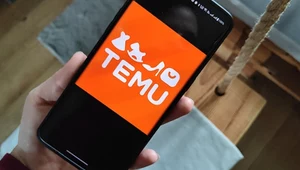 Temu ma już prawie 94 mln użytkowników w UE