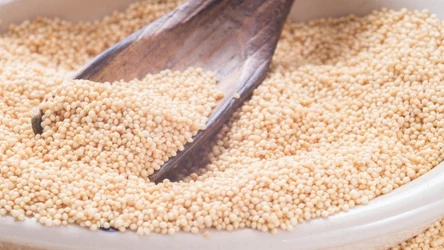 Ziarna amarantusa działają cuda z wysokim cholesterolem i trójglicerydami