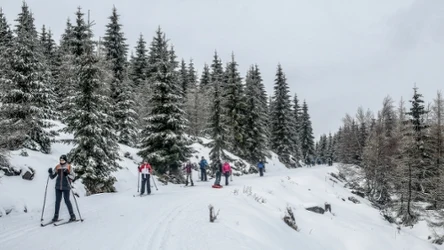 Gdzie trenowała Justyna Kowalczyk? Zimą przemierz Trasę Olimpijczyków.
