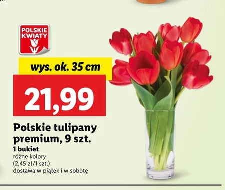 Bukiet tulipanów Polskie kwiaty