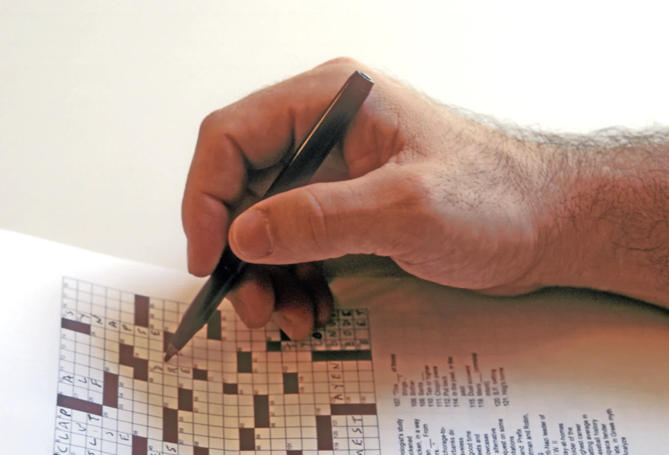 Warto rozwiązywać krzyżówki. Poprawiają pamięć. Warto rozwiązywać krzyżówki. Poprawiają pamięć.