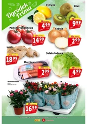 Zakochaj się w niskich cenach – Prim Market