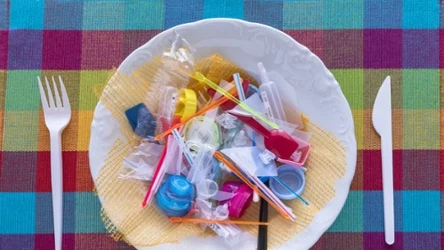 Mikroplastik spożywamy nieświadomie. Naukowcy znajdują go potem w naszym ciele