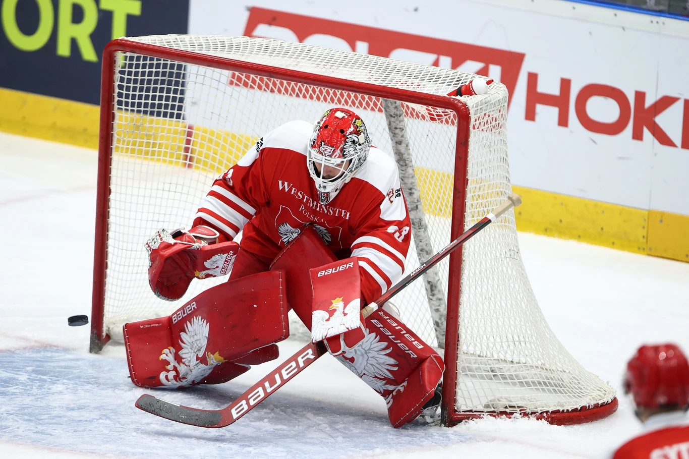 Tomas Fucik